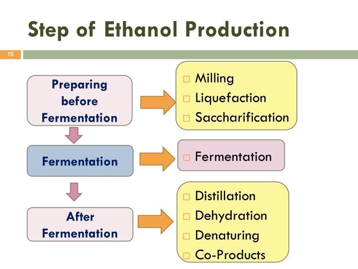 PPT - Step Of Ethanol ProDuction N