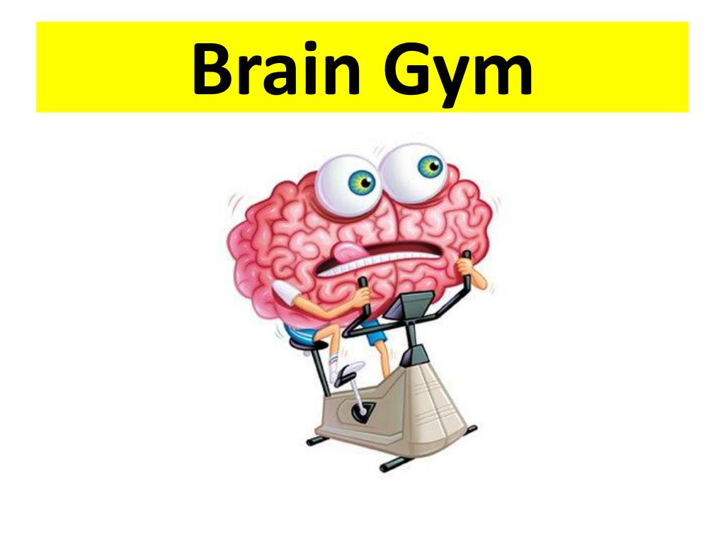 Brain 8 1. Брейн Джим гимнастика для мозга. Головной мозг 8 класс. Головной мозг 8 класс презентация. Головной мозг презентация 8 класс биология.