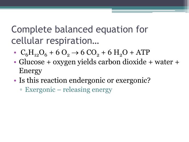 PPT Cellular Respiration Part 1 PowerPoint Presentation