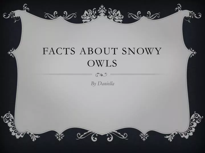 PPT - Facts About Snowy Owls PowerPoint Presentation, free download ...