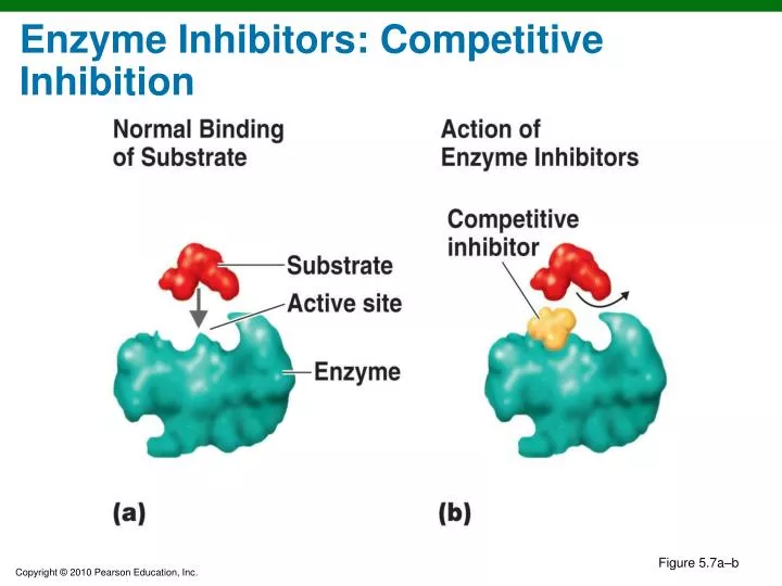 enzyme inhibitors competitive inhibition n.