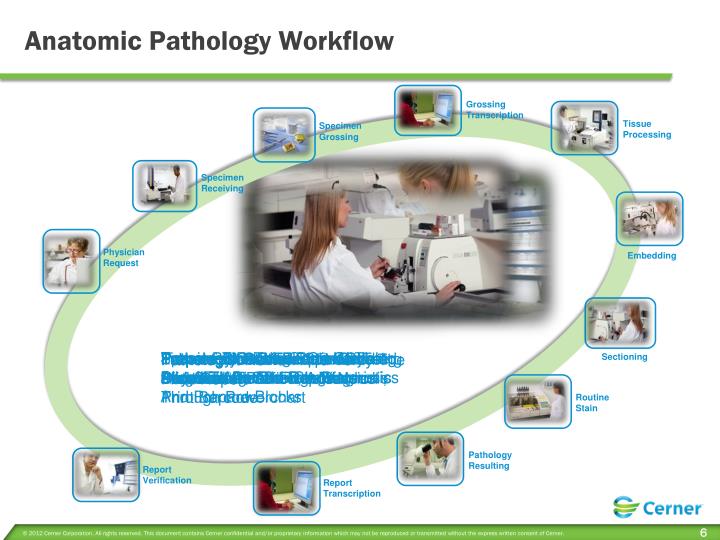anatomical pathology anatomical pathology