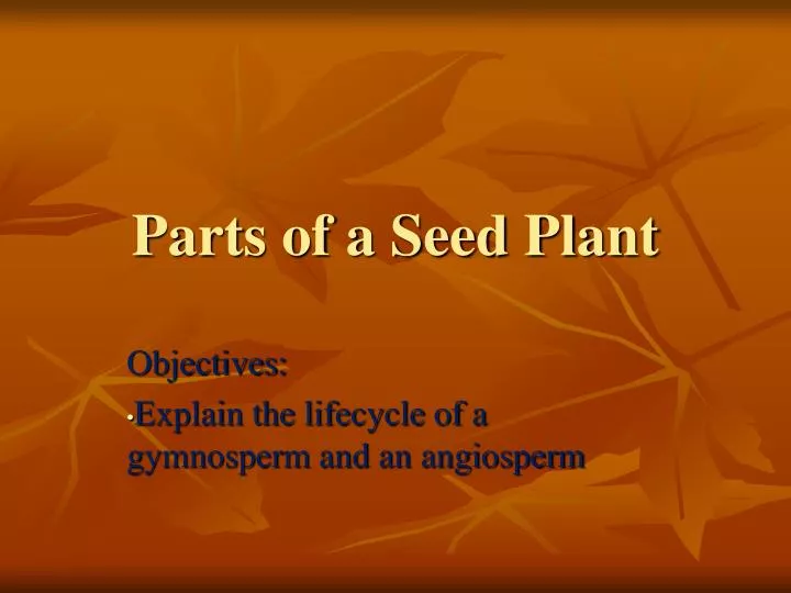 parts of a seed plant n.