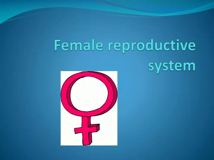 female reproductive system n.