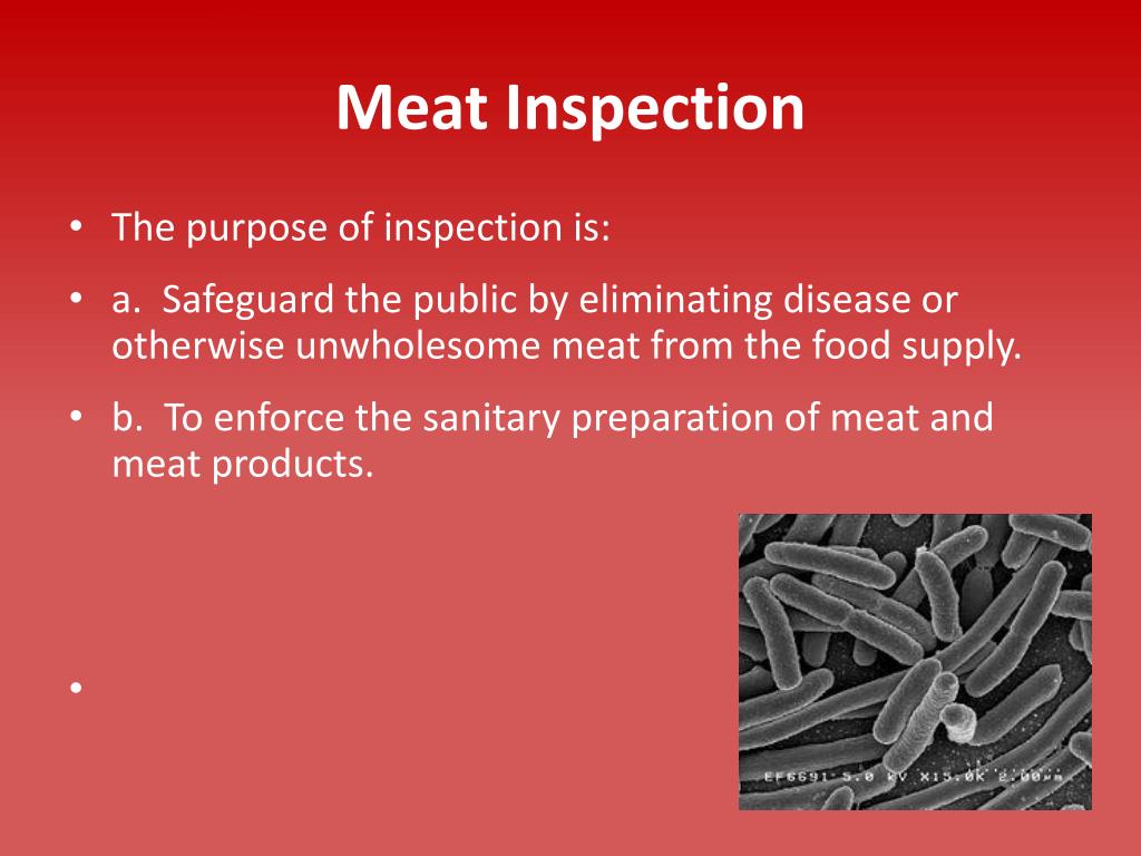 Ppt Introduction To The Meat Science Industry Powerpoint