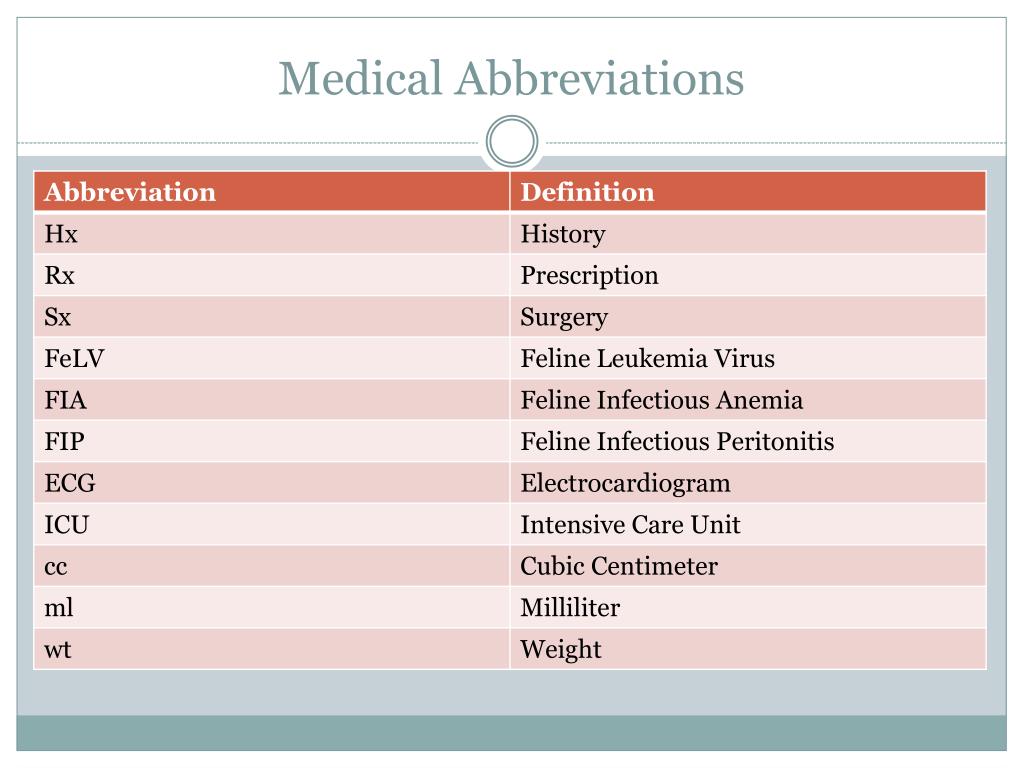 PPT Veterinary Terminology PowerPoint Presentation Free Download 