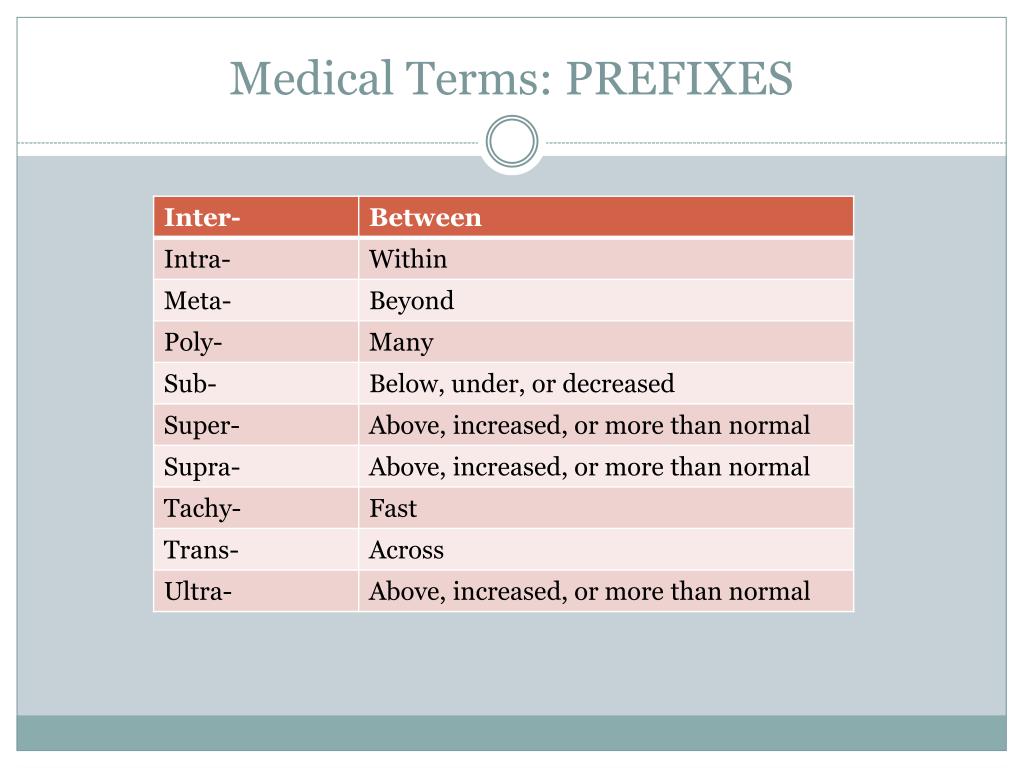 Ppt Veterinary Terminology Powerpoint Presentation Free Download Id