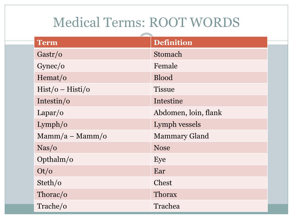 Flank  definition of flank by Medical dictionary