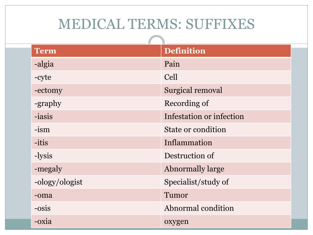 PPT - Veterinary Terminology PowerPoint Presentation, free download -  ID:1952503