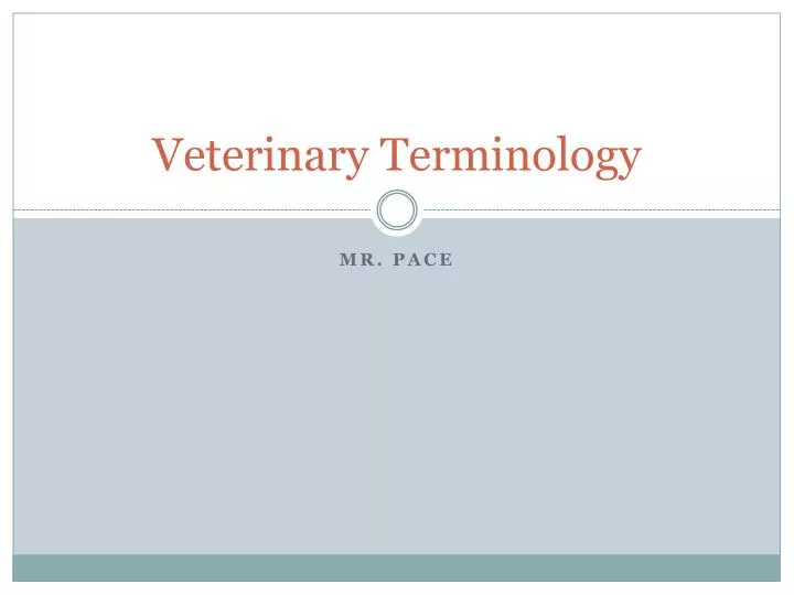 PPT - Veterinary Terminology PowerPoint Presentation, Free Download ...