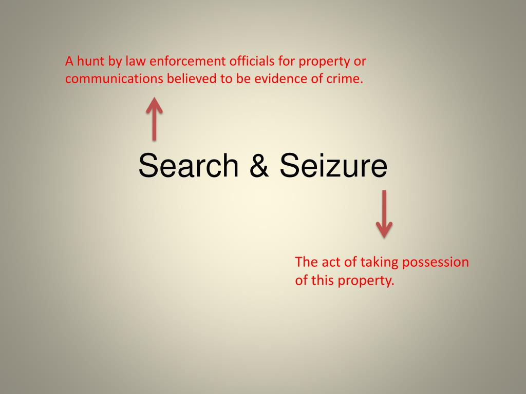 search and seizure assignment