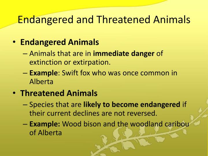 a discussion about endangered species and the causes of their extinction An endangered species is a species (a population) of animals, only a few plants and animals at risk of extinction, mostly vertebrates, are put on the lists and get legal protection many more species become extinct, or will become extinct, without people knowing about it. a discussion about endangered species and the causes of their extinction An endangered species is a species (a population) of animals, only a few plants and animals at risk of extinction, mostly vertebrates, are put on the lists and get legal protection many more species become extinct, or will become extinct, without people knowing about it.