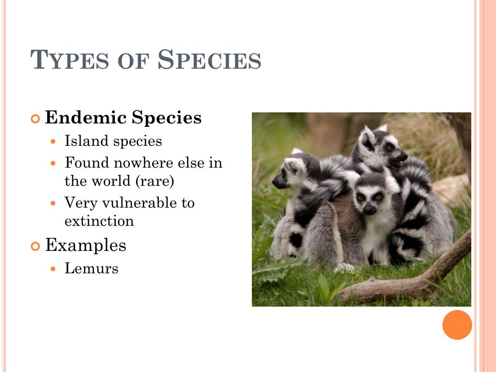 PPT - Ecosystem Diversity PowerPoint Presentation, free download - ID ...