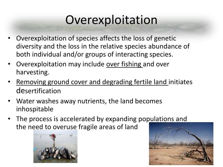 PPT - Global Environmental Issues PowerPoint Presentation - ID:1957161