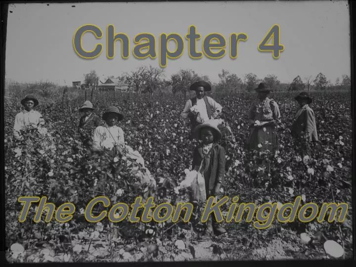 PPT Chapter 4 The Cotton Kingdom PowerPoint Presentation, free