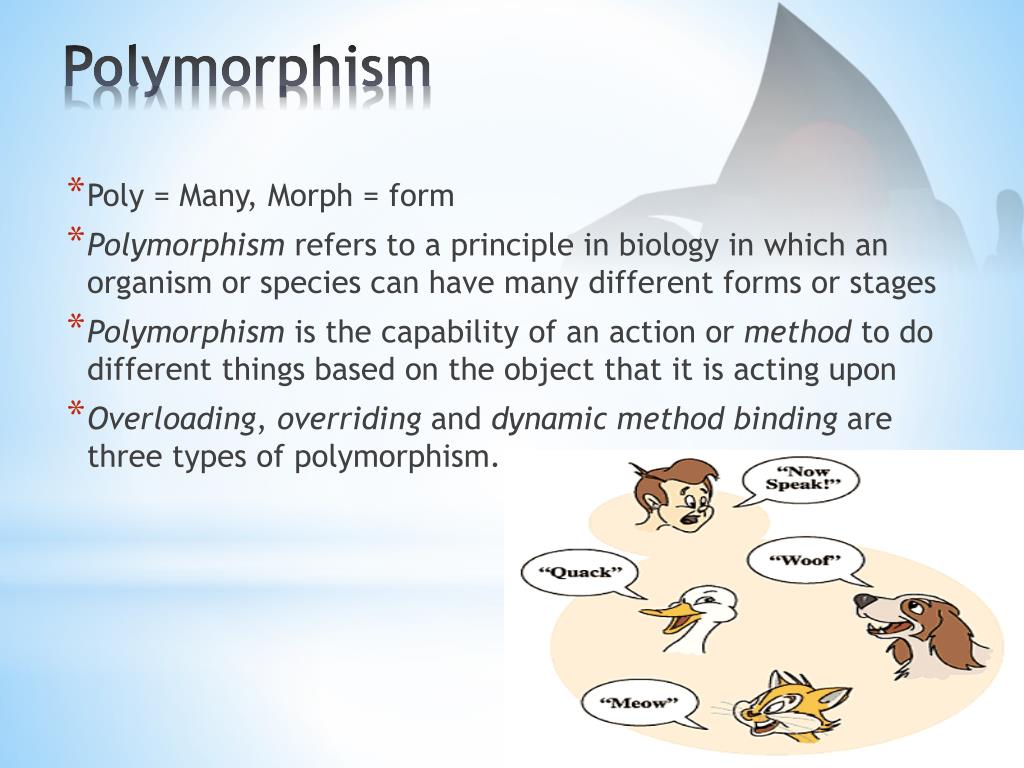 Полиморфизм в python. Полиморфизм Пайтон. Balanced polymorphism. Полиморфизм котов.
