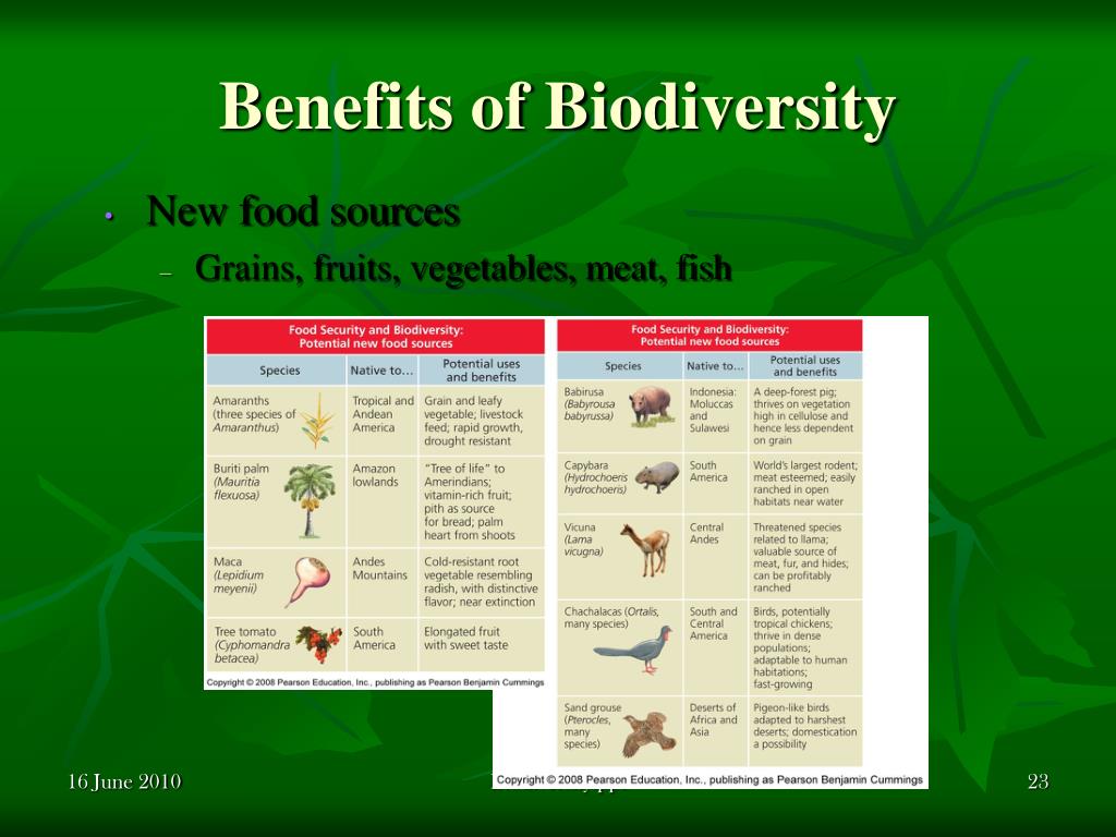 PPT - Biodiversity: Who cares? PowerPoint Presentation ...