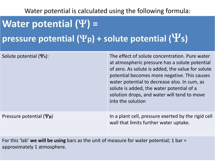 PPT Diffusion/Osmosis/Water Potential PowerPoint Presentation ID