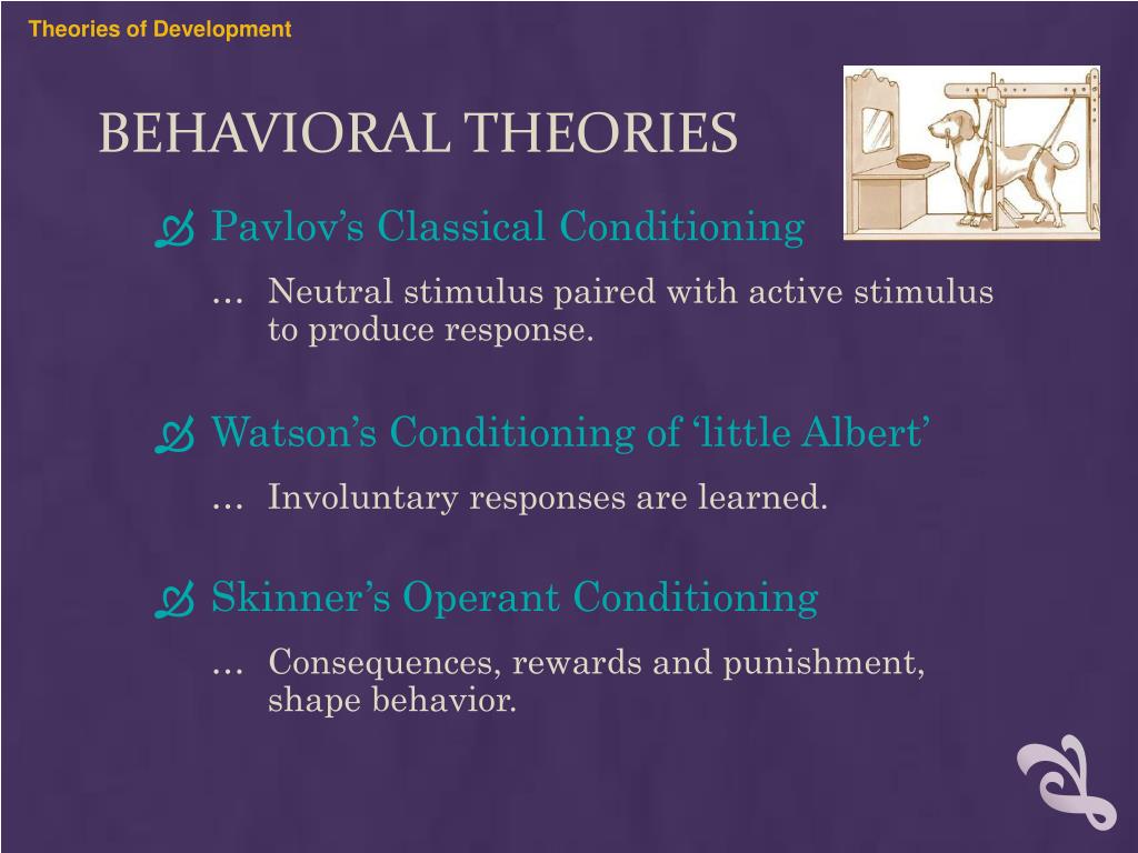 case study of behavioral theory