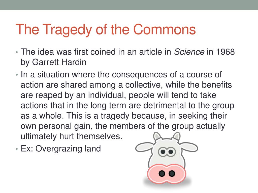 in the essay tragedy of the commons what is referred to as common