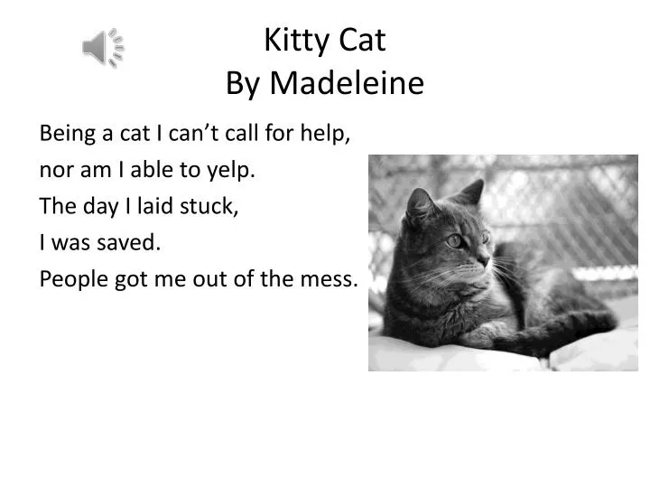 kitty cat by madeleine n.