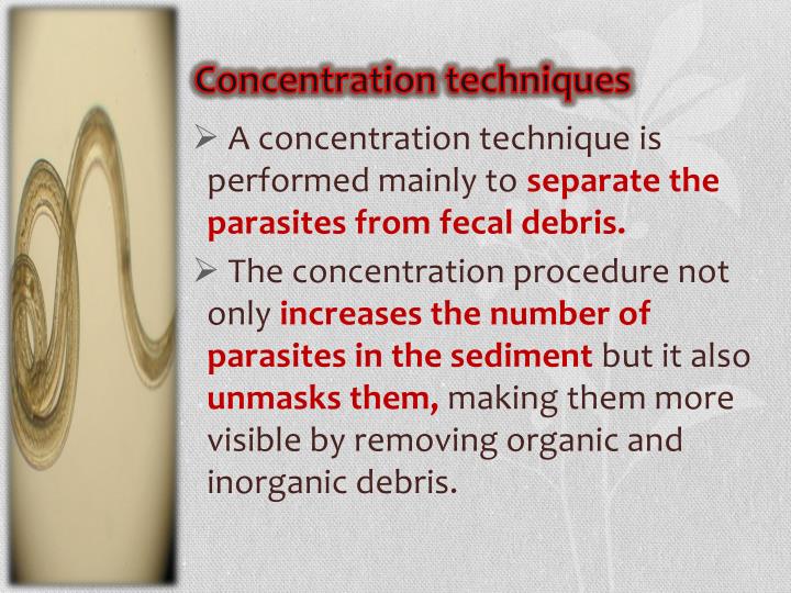 PPT Concentration methods of fecal parasites PowerPoint Presentation