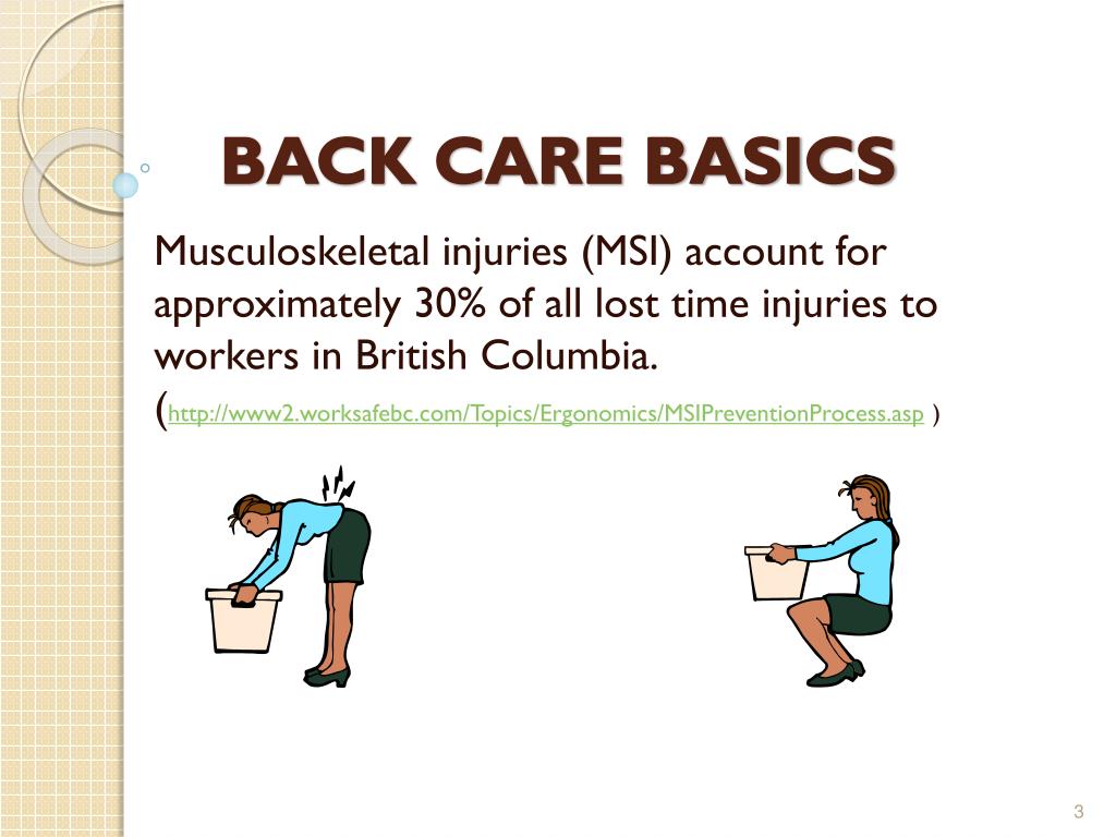 assignment on back care