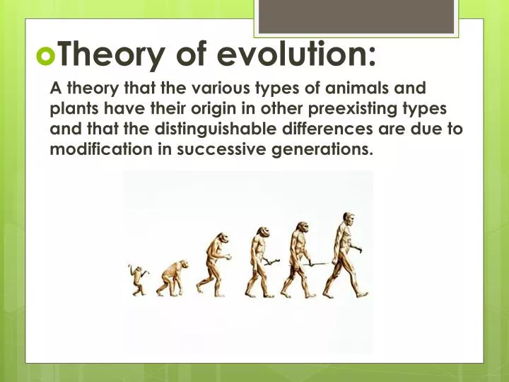 presentation topics on evolution