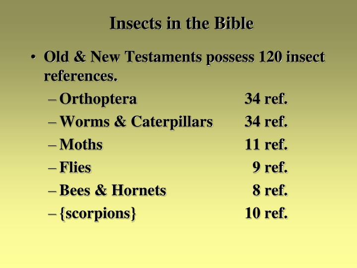 PPT - Pests, Plagues & Politics Lecture 9 PowerPoint Presentation - ID ...