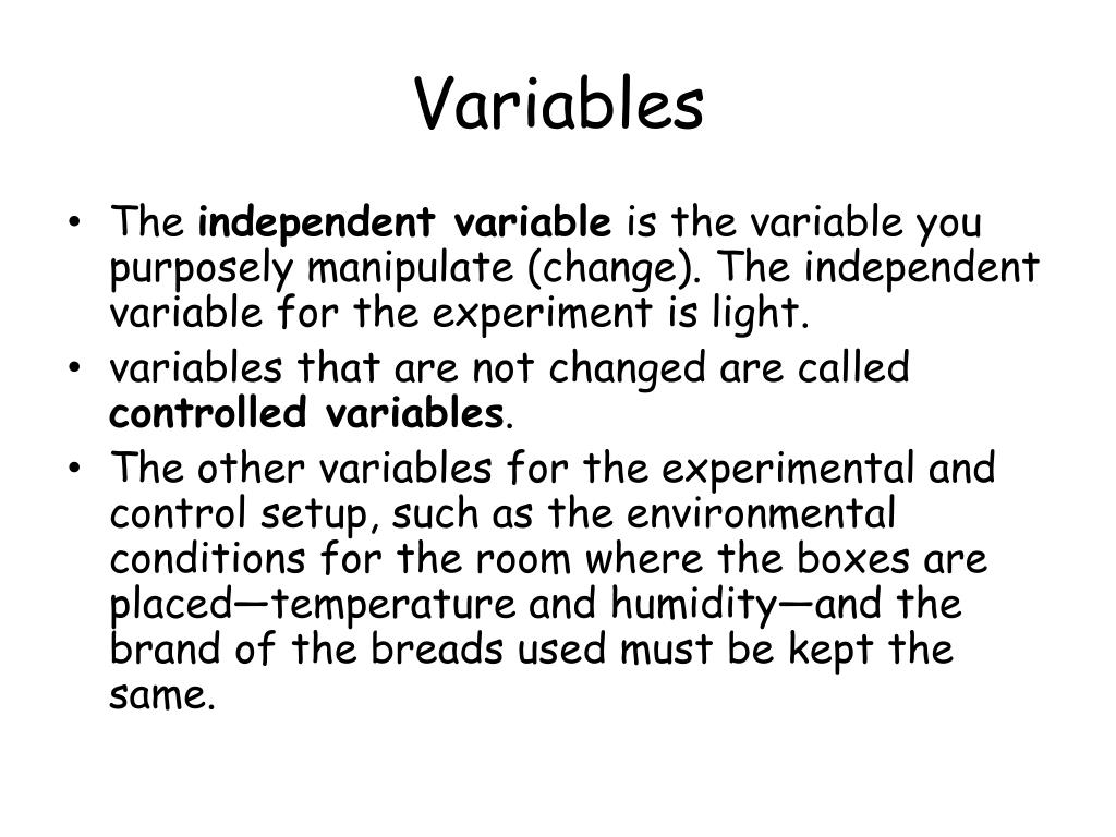 PPT How To Write A Science Project Report PowerPoint Presentation 