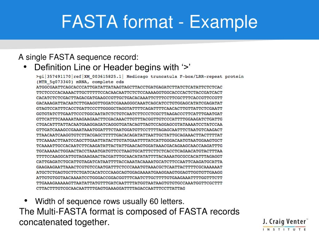 Формат фаста. Fasta файл. Fasta Формат example. Примеры текстов в формате fasta.