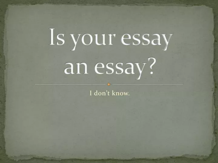 is your essay an essay n.