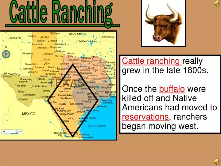 PPT Cattle Ranching PowerPoint Presentation, free download ID1967064