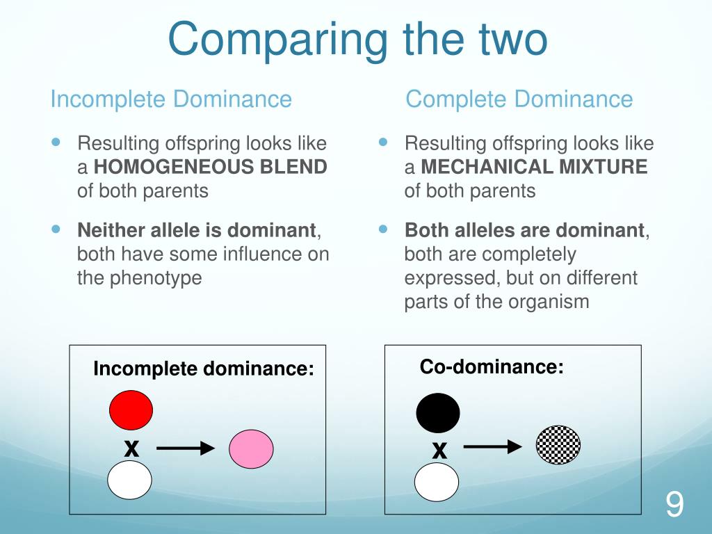 incomplete-dominance-pigments-worksheet-answer-key-naturalica