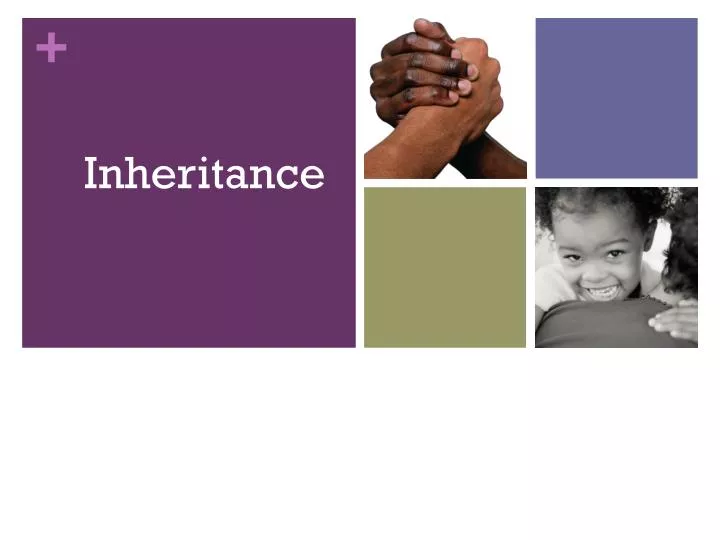 PPT - Inheritance PowerPoint Presentation, free download - ID:1968080