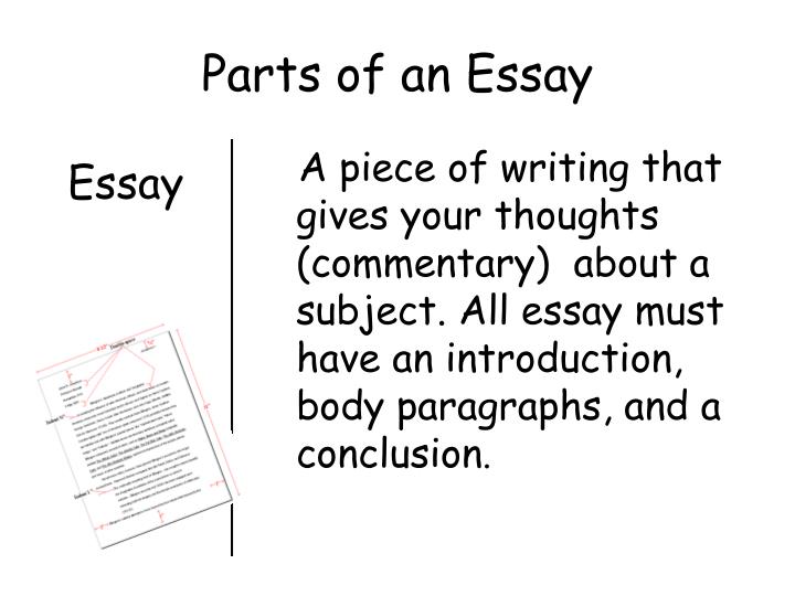 parts of an essay powerpoint