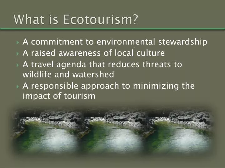 eco friendly tourism short note