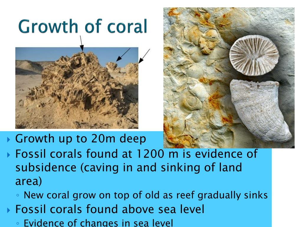 coral growth reefs lagoons corals conditions rate ppt powerpoint presentation evidence deep due slideserve