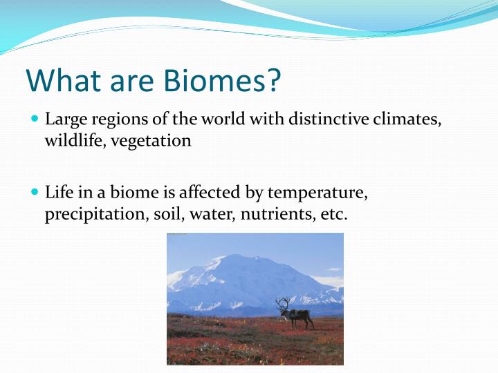 what are biomes