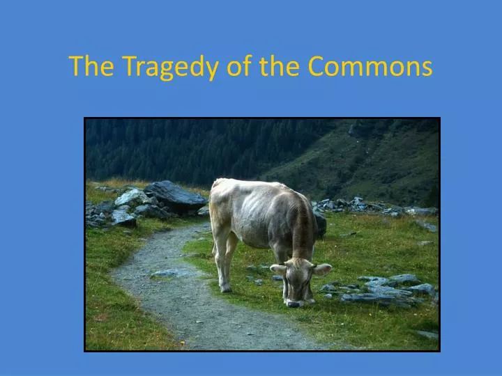 ppt-the-tragedy-of-the-commons-powerpoint-presentation-free-download