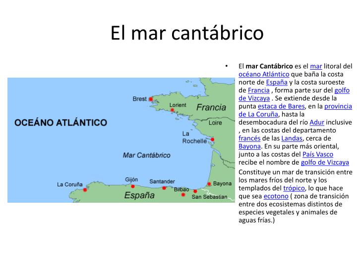 PPT - Ecosistemas acuáticos PowerPoint Presentation - ID:1971616
