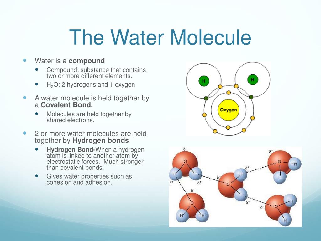 presentation on water molecules