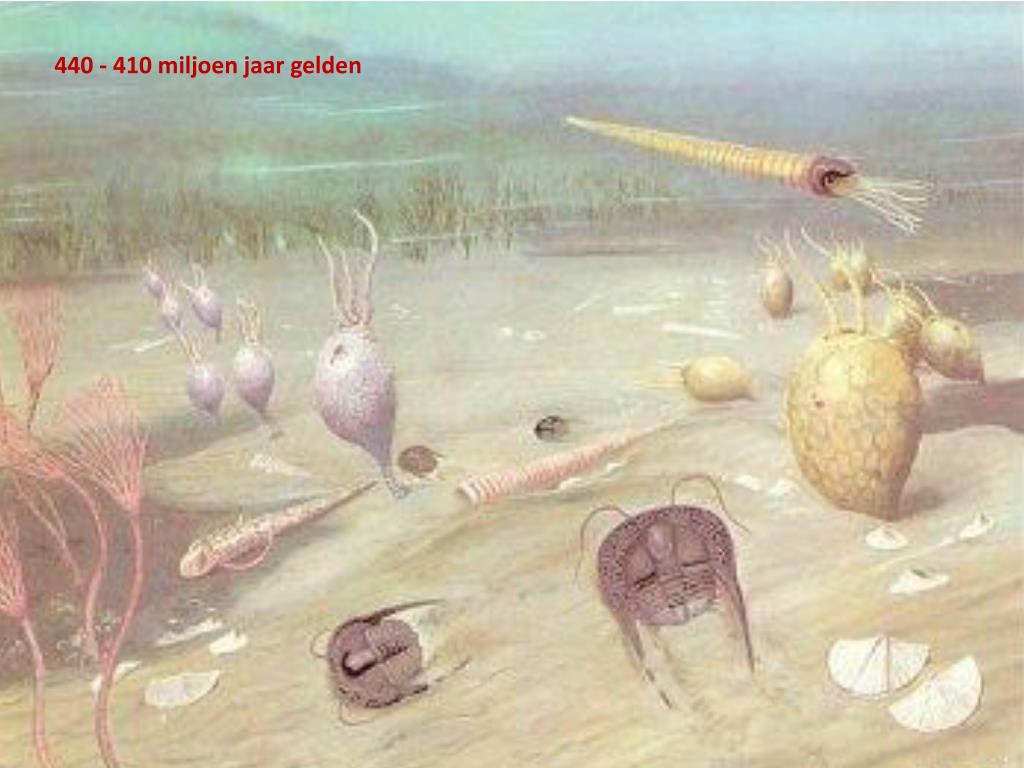 PPT - Ontstaan van de eerste levensvormen…… PowerPoint Presentation