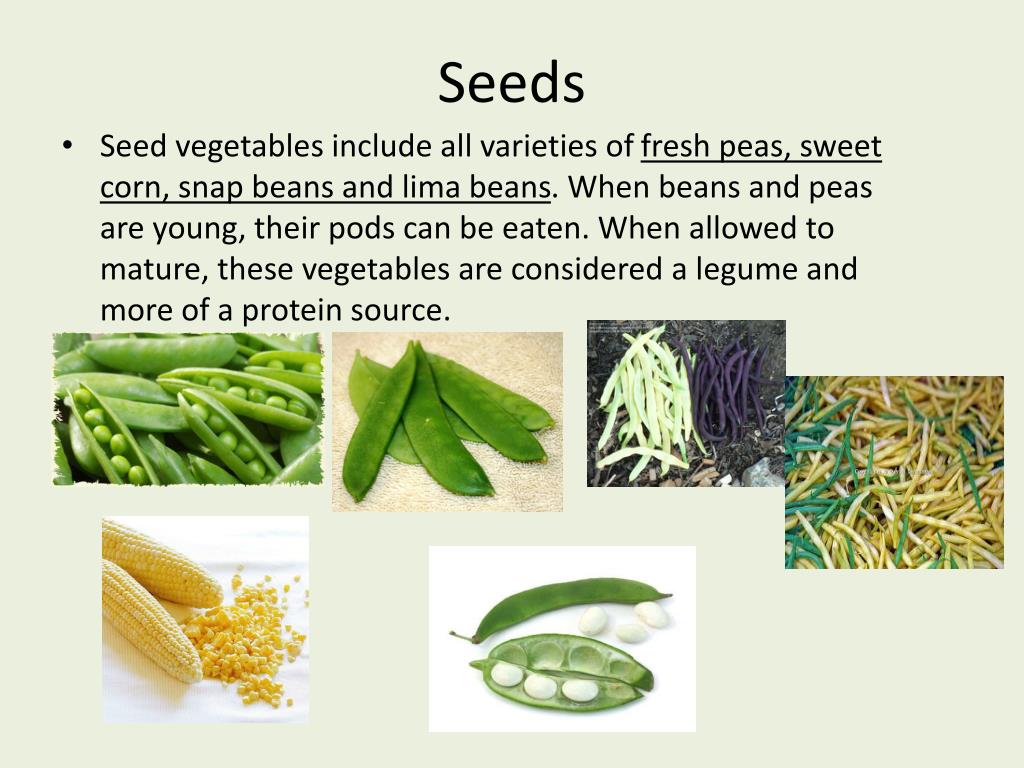 Vegetable seed. Vegetables Seeds фото. Vegetable Seeds перевод. Beans Snap pods. Categories of Vegetables.