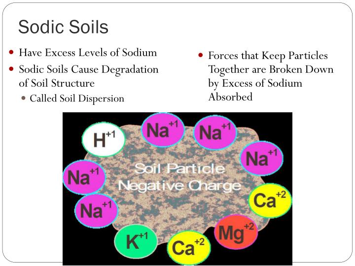 PPT Acidity & Alkalinity PowerPoint Presentation ID1972605