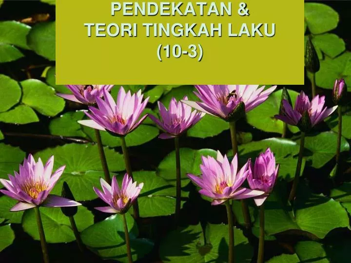 PPT - PENDEKATAN & TEORI TINGKAH LAKU (10-3) PowerPoint ...