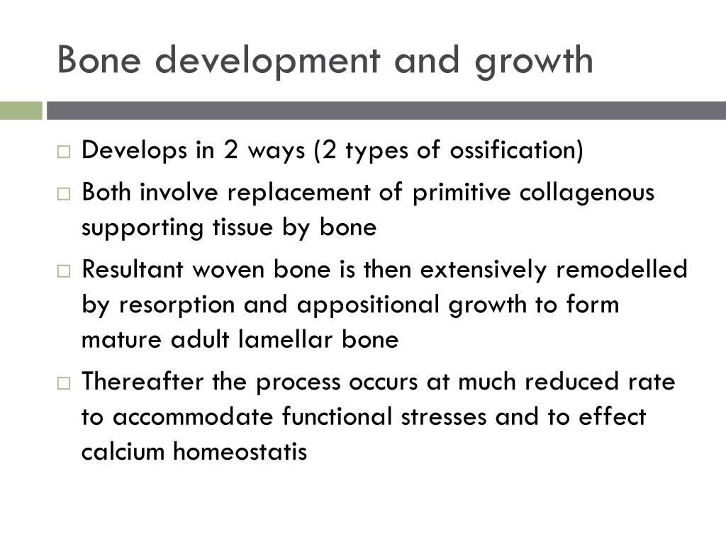 Bone Physiology PowerPoint Presentation free download Biology Diagrams