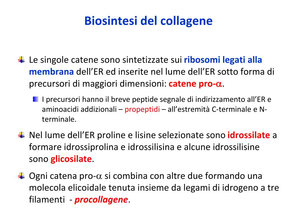 PPT - Collageni PowerPoint Presentation, free download - ID:1973438
