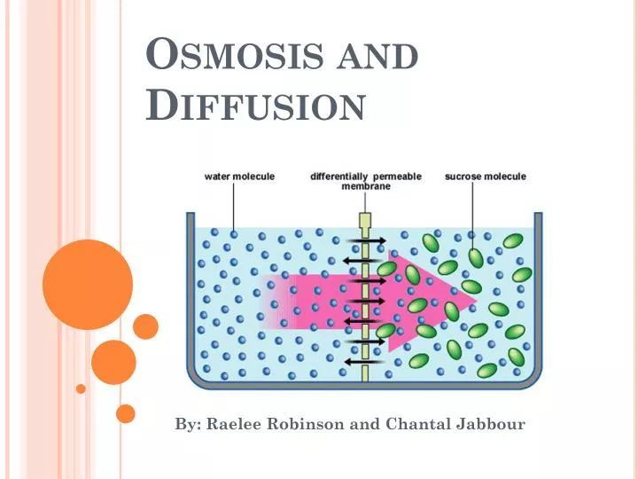 PPT Osmosis and Diffusion PowerPoint Presentation, free download ID