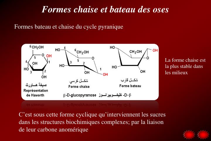 PPT - LES GLUCIDES PowerPoint Presentation - ID:1973629